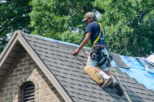 Best Metal Roofing Contractor  in New Vienna, OH